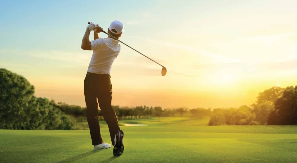 Signature Global Cloverdale Sector 71 Gurgaon